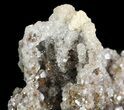 Calcite Stalactite Formation - Morocco #51836-2